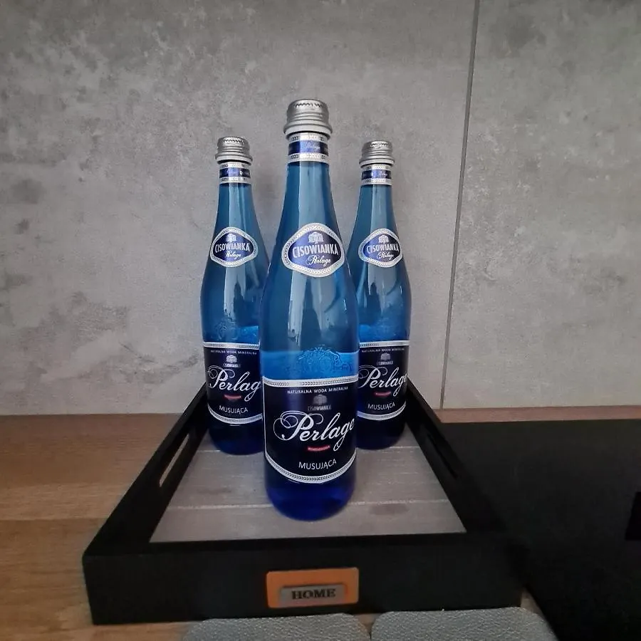 Mieszkanie W Nowoczesnym Halo Apartament W Centrum Wroclaw 0*,